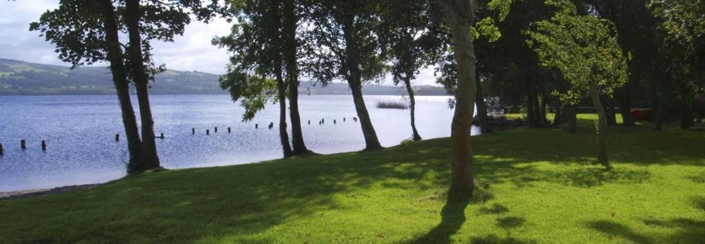Lakeside Cottage Killaloe Exterior photo