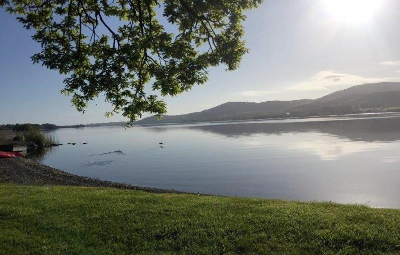 Lakeside Cottage Killaloe Exterior photo
